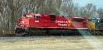 CP 7044